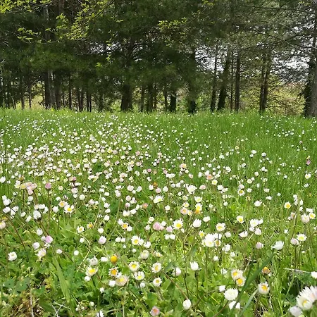 Complex Ovchaga בית הארחה אספרוחובו